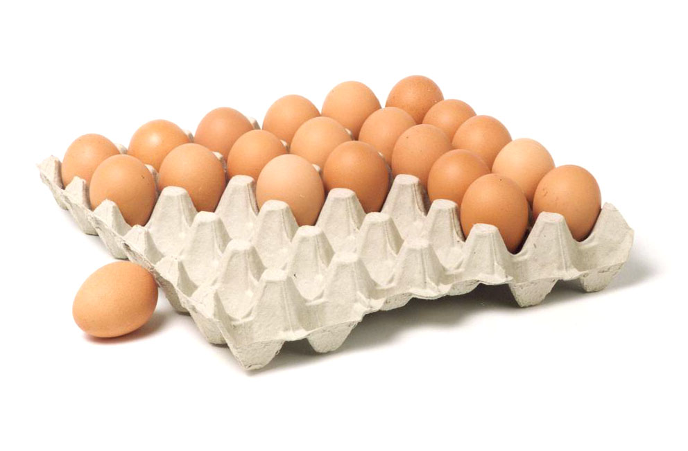 High Quality Egg Tray 